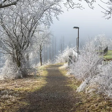 Harztraum - Im Harz