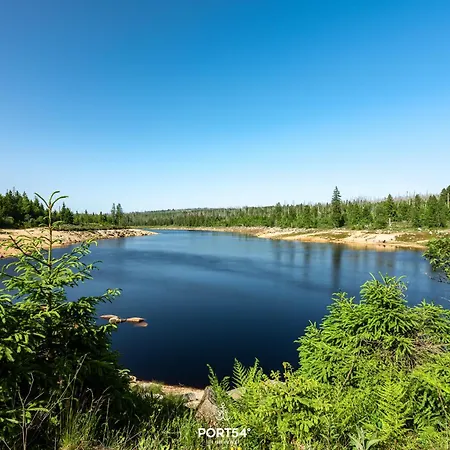 Harztraum - Im Harz *