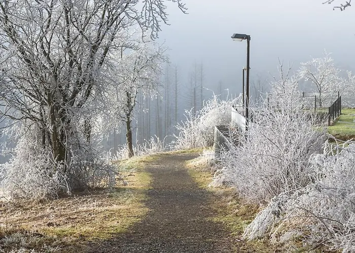Harztraum - Im Harz